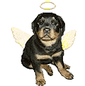BEBE ROTT !